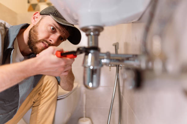 Best Local Plumber Services  in Dunlap, IN