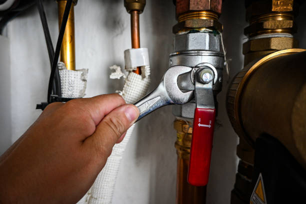Best Plumbing Repair Near Me  in Dunlap, IN